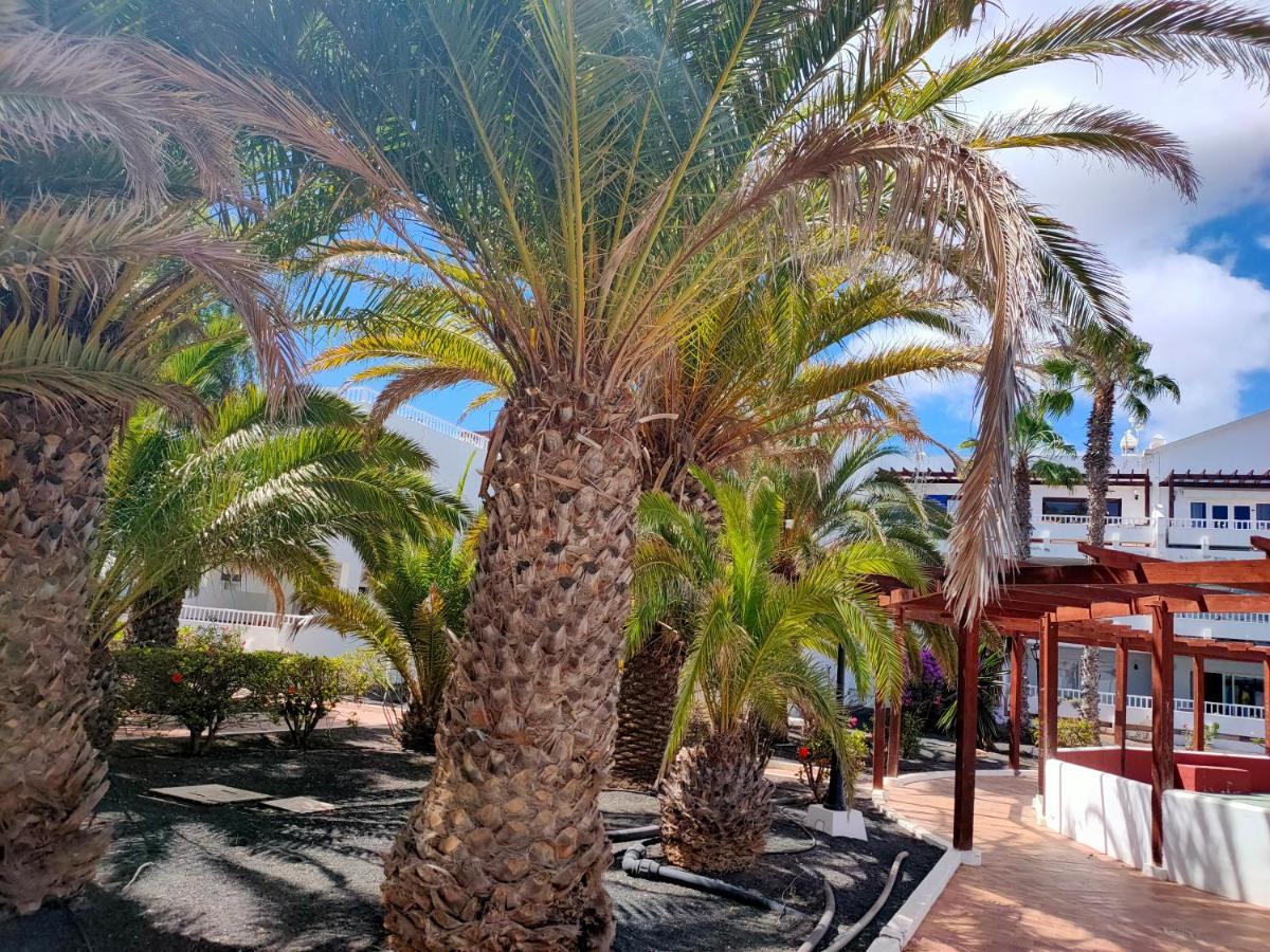 Flor De Cactus Apartment Costa Teguise Ngoại thất bức ảnh