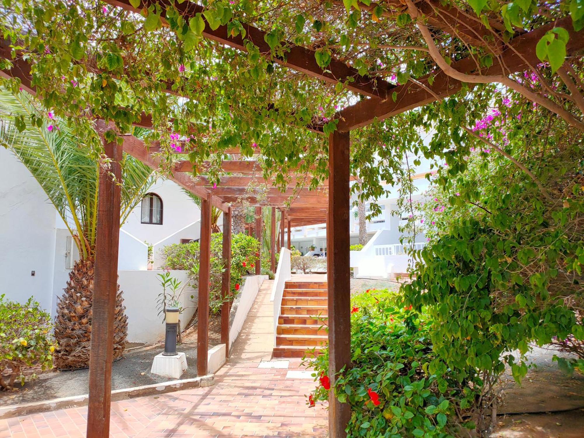 Flor De Cactus Apartment Costa Teguise Phòng bức ảnh