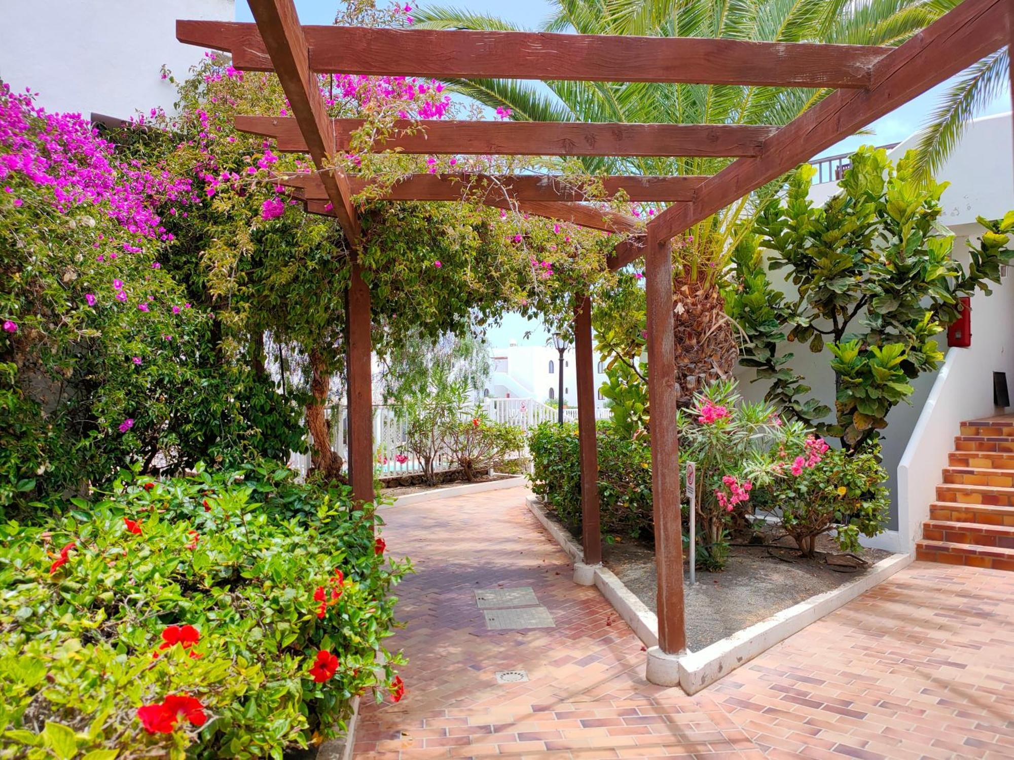 Flor De Cactus Apartment Costa Teguise Phòng bức ảnh