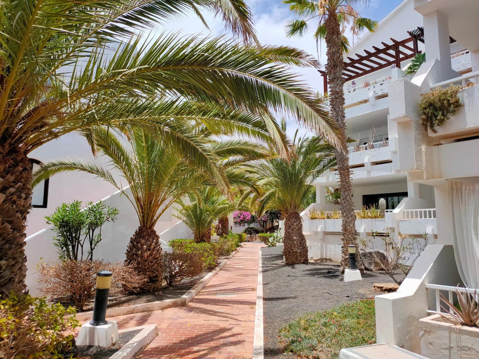 Flor De Cactus Apartment Costa Teguise Phòng bức ảnh